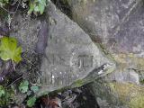 image of grave number 279003